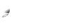 provider